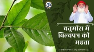 Chaturmas Me Bel Patra Health Benefits and Importance in Hindi